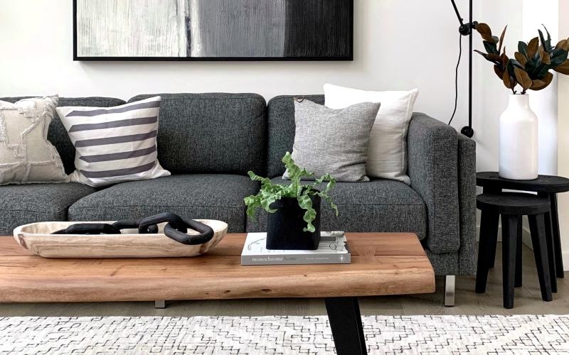 a couch with a coffee table and a plant on it