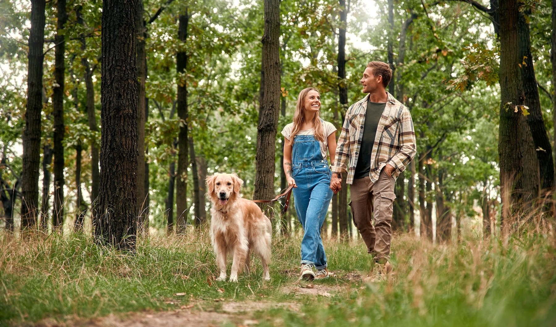 a couple walking a dog in a park