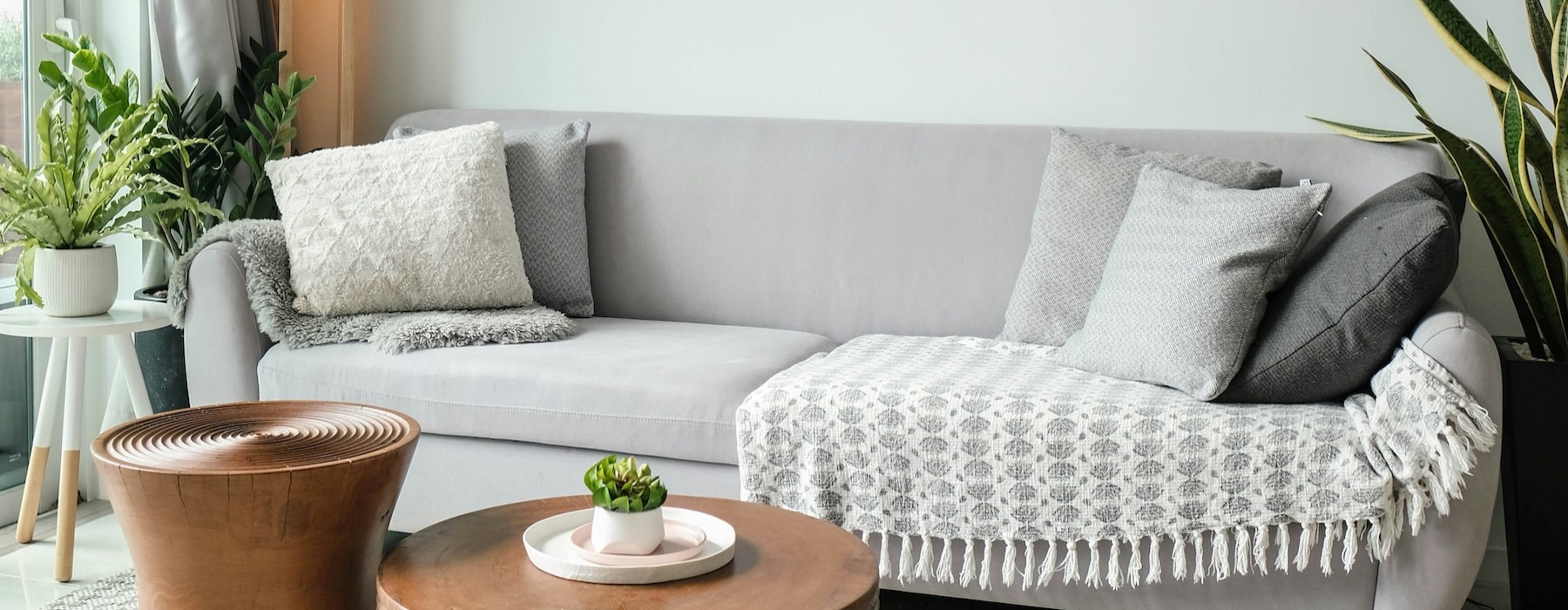 a couch with a table and potted plants